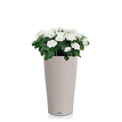 CILINDRO Cottage 23 sand brown